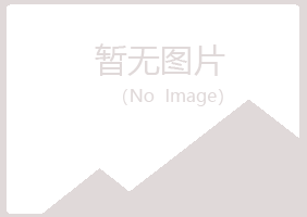 鹤岗兴山代云运动有限公司